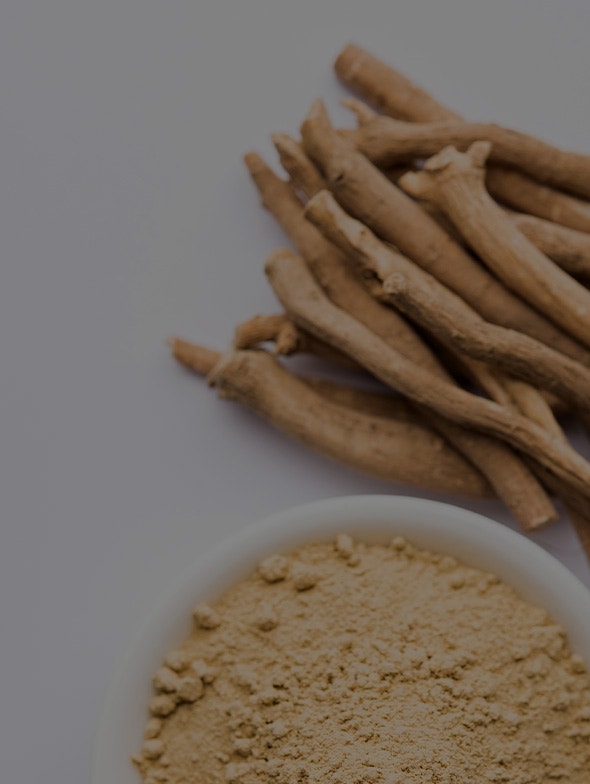 Ashwagandha: un allié précieux contre le stress