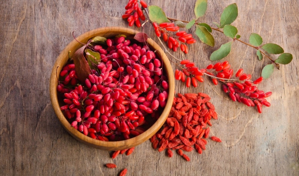 Les baies de goji : tout savoir sur leurs propriétés et bienfaits