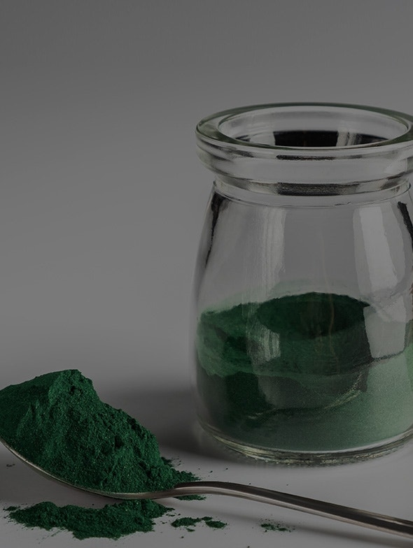 Algues spiruline | Les avantages extraordinaires de la poudre de spiruline