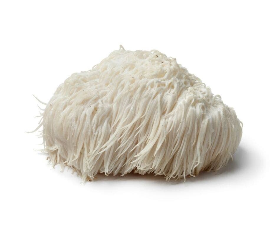 L'Hericium Erinaceus visto da vicino